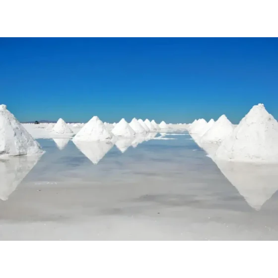 Извлечение лития методом флотации из рассола соленого озера