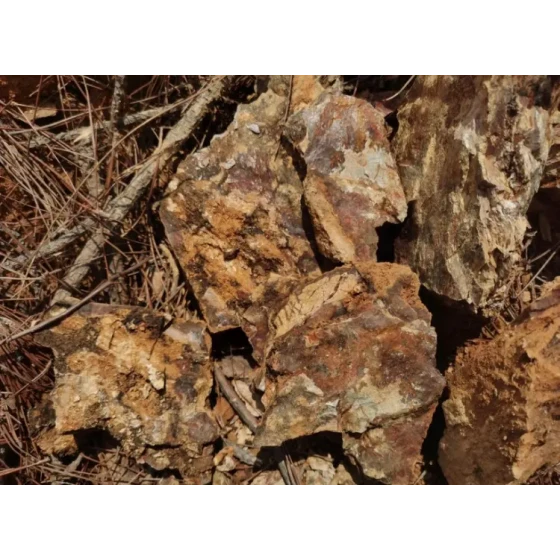 Испытания по переработке окисленной золотой руды