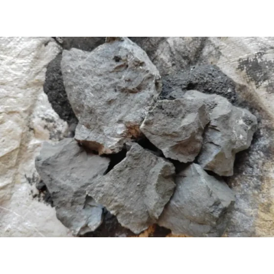 Испытания по обогащению высокосернистой золотой руды