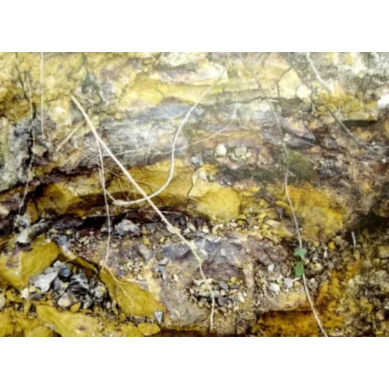 Испытание процесса выщелачивания тугоплавких сопутствующих руд