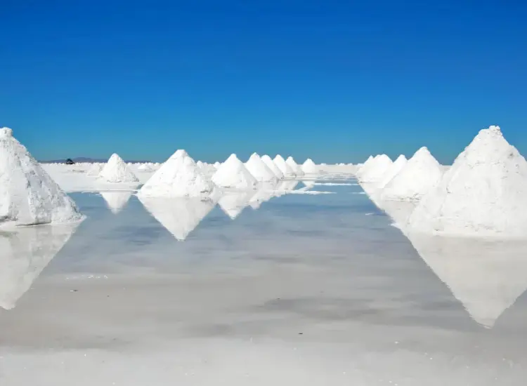 Извлечение лития методом флотации из рассола соленого озера