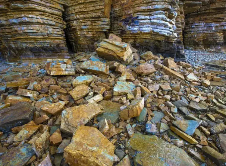 Испытание золотой руды на обогатимость