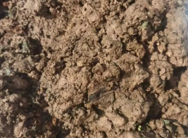 Испытание на обогатимость шламов оксидных металлических руд