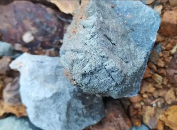 Тест на извлечение золота из высокосернистых хвостов