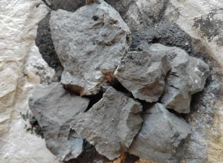 Испытания по обогащению высокосернистой золотой руды