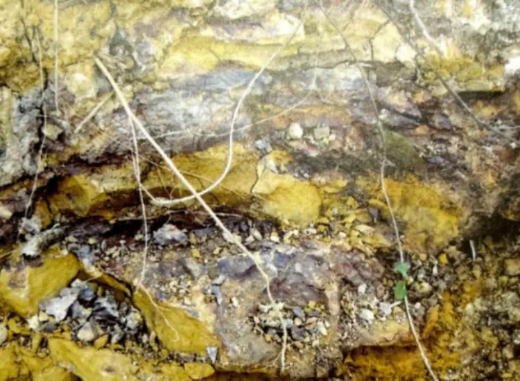 Испытание процесса выщелачивания тугоплавких сопутствующих руд