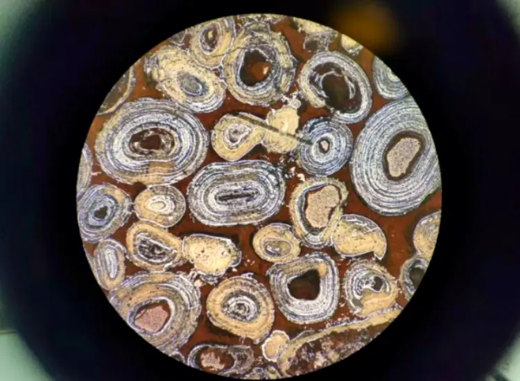 Тест на дефосфоризацию и обеспыливание оолитового гематита